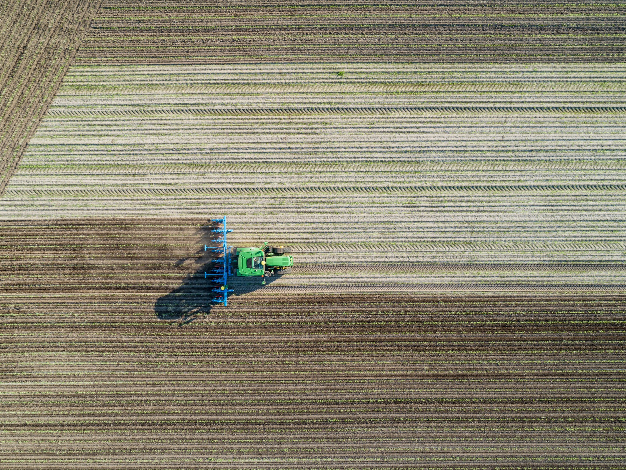 Ansicht Hackmaschine in Aktion von oben